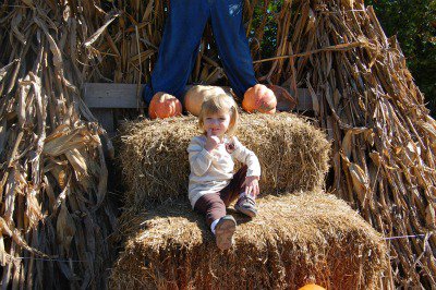 Pumpkin Day